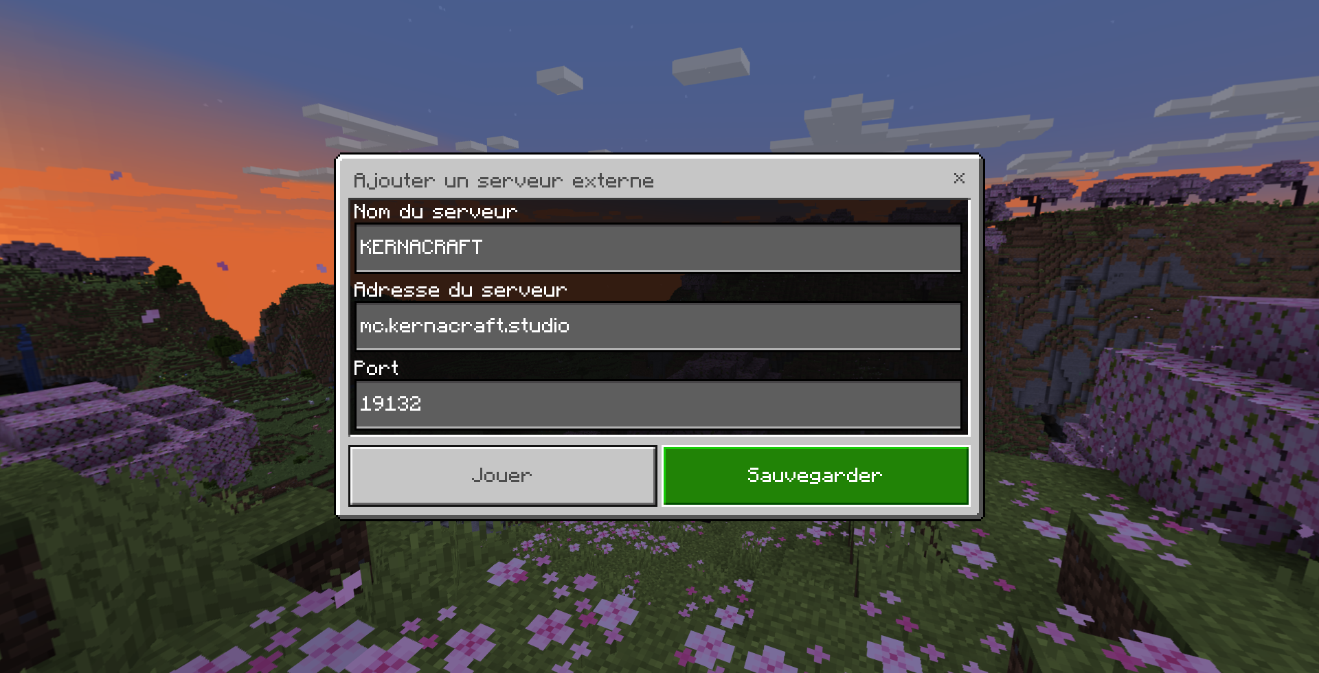 Screen connexion bedrock